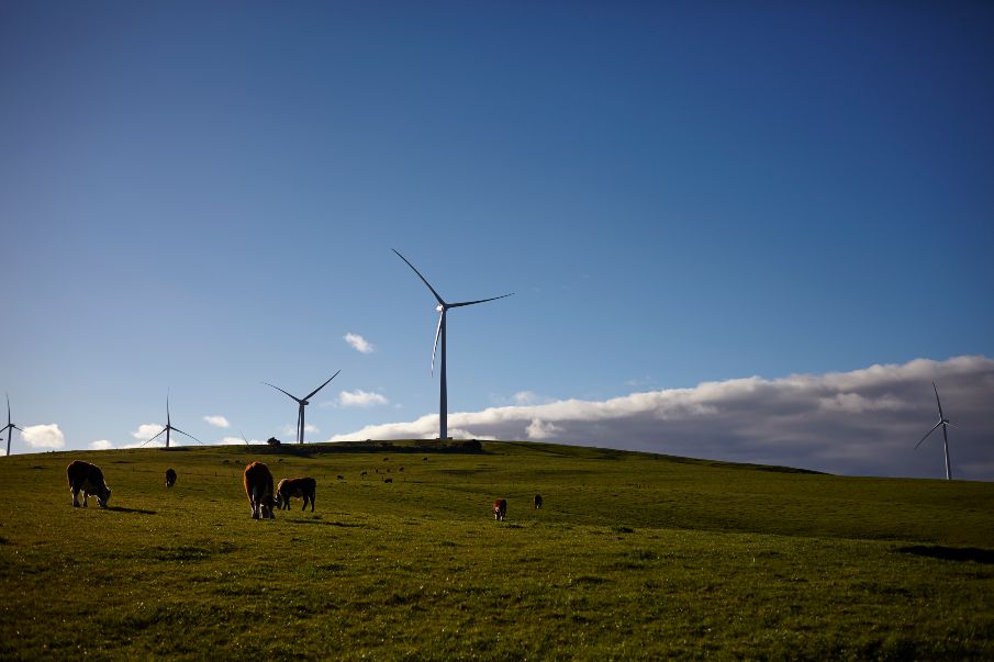 Downer Senvion partnership to build Stage One of the Murra Warra Wind Farm