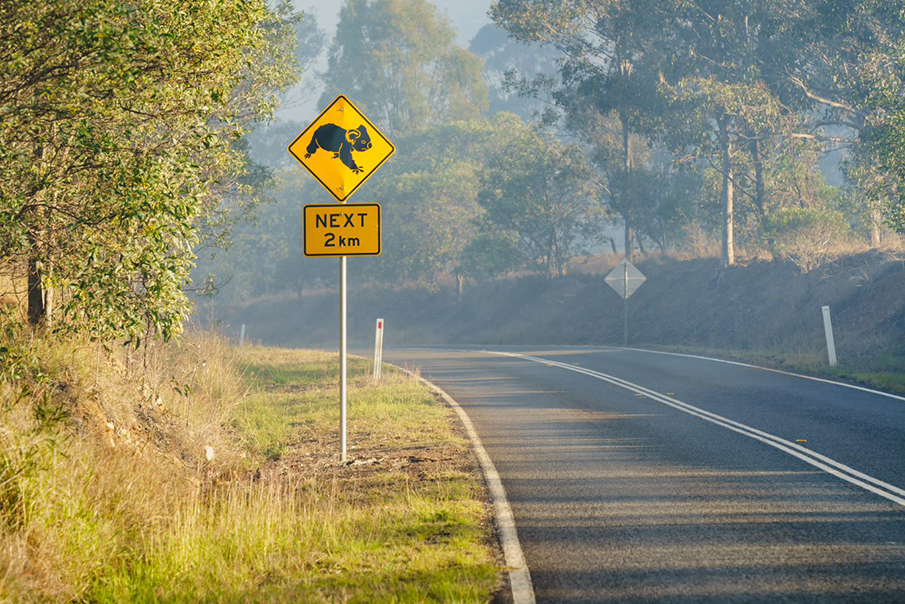 Downer donates $500,000 to bushfire recovery