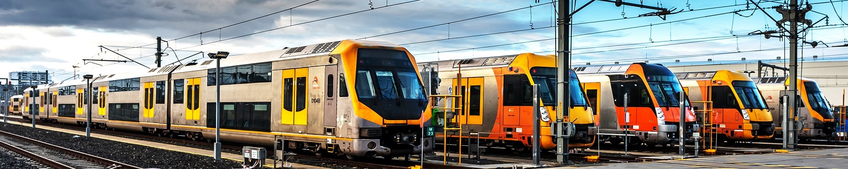 The Waratah fleet